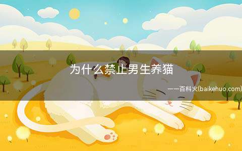 为什么禁止男生养猫(男人不养猫的说法)