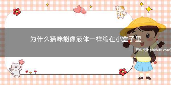 为什么猫咪能像液体一样缩在小盒子里