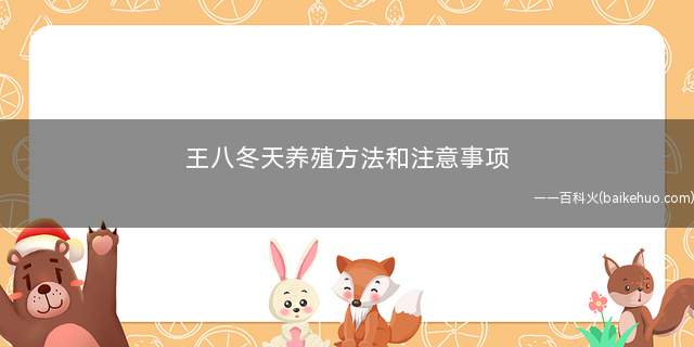 王八冬天养殖方法和注意事项