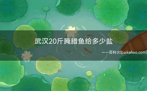 武汉20斤腌腊鱼给多少盐(武汉20斤腌腊鱼给2斤盐)
