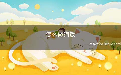 怎么做猫饭(猫咪吃什么好)