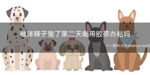 被洋辣子蛰了第二天能用胶带办粘吗(洋辣子的毒性其实是属于酸性)