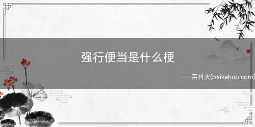 强行便当是什么意思强行