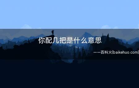 你配几把是什么意思