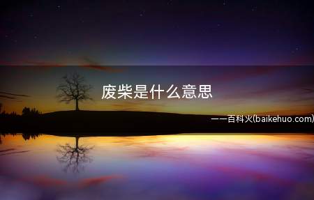 废柴是什么意思