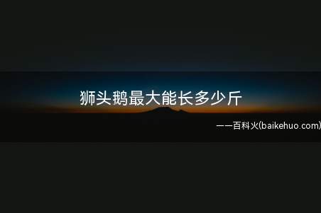 狮头鹅最大能长多少斤(养殖狮头鹅时一定要及时分群)