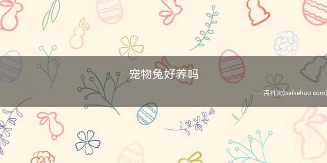宠物兔好养吗(宠物兔的眼睛是红色的吗)