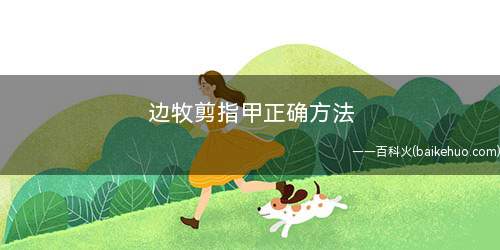 边牧剪指甲正确方法