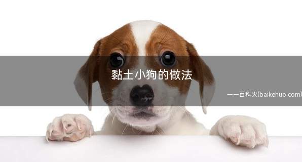黏土小狗的做法(白色粘土揉搓成小狗的脑袋和身体连在一起)