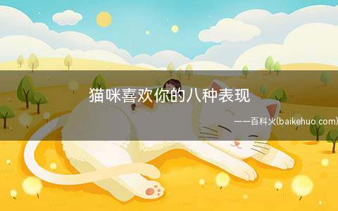 猫咪喜欢你的八种表现