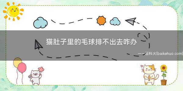 猫肚子里的毛球排不出去咋办(宠物主人如何给猫咪喂食)