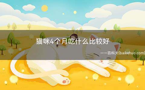 猫咪4个月吃什么比较好(喵想羊奶粉泡猫粮来给猫咪食用)