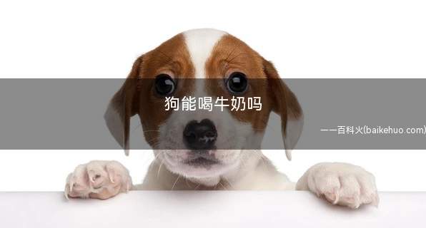 狗能喝牛奶吗