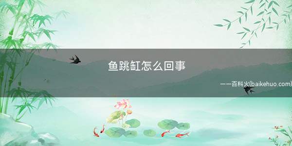 鱼跳缸怎么回事(鱼儿跳出鱼缸的处理方法)