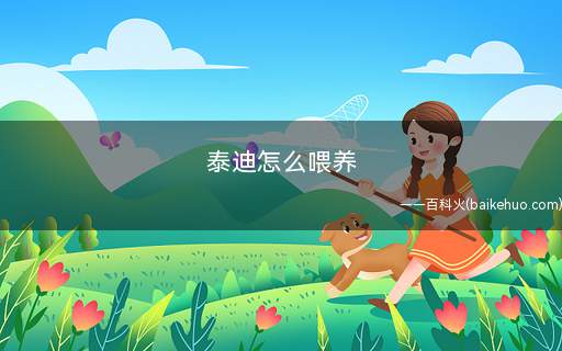 泰迪怎么喂养(宠物专用的食品有哪些)