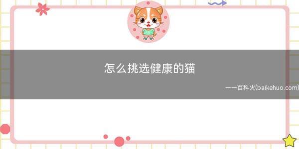 怎么挑选健康的猫(买健康小猫要看外观特征)