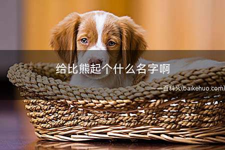 给比熊起个什么名字啊(如何依据比熊的毛色命名)