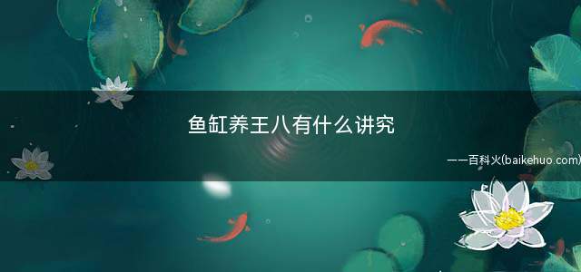 鱼缸养王八有什么讲究