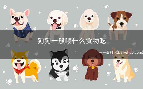 狗狗一般喂什么食物吃