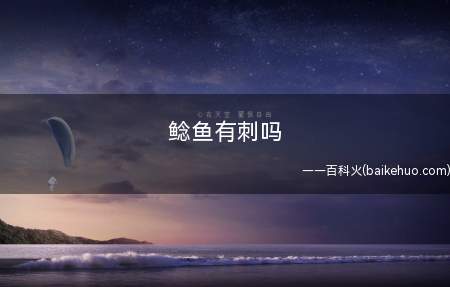 鲶鱼有刺吗