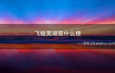 飞蝗芜湖是什么意思