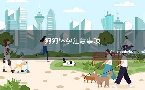狗狗怀孕注意事项
