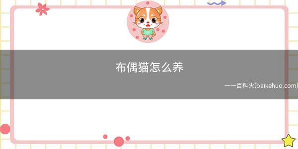 布偶猫怎么养