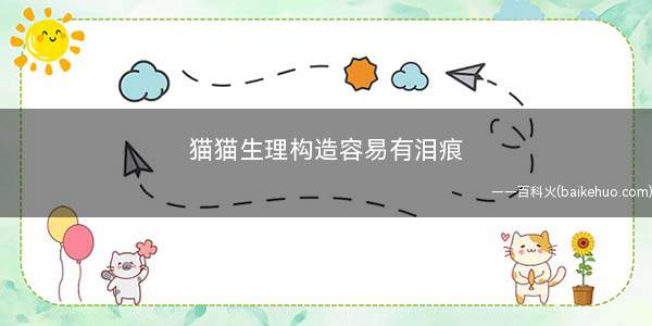 猫猫生理构造容易有泪痕(宠物上火应该注意什么)