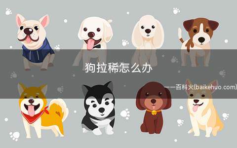 狗拉稀怎么办(狗狗拉肚子原因有很多种)