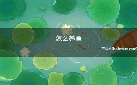怎么养鱼(养鱼要注意哪些问题)