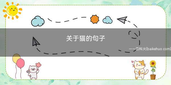 关于猫的句子