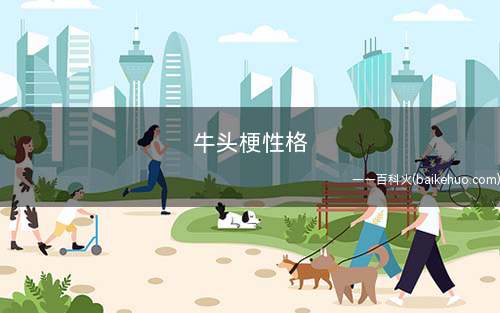 牛头梗性格