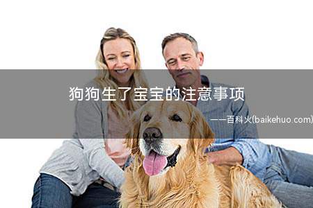 狗狗生了宝宝的注意事项(新出生的狗狗特别要注意保暖!)