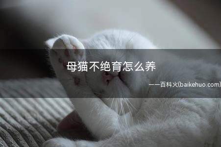 母猫不绝育怎么养(母猫发情季的区别是什么)