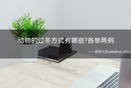 动物的过冬方式有哪些各举两例(动物的过冬方式有哪些)
