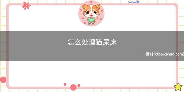 怎么处理猫尿床