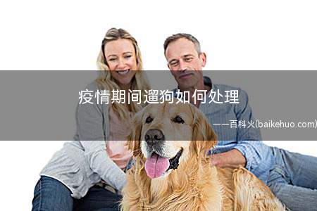 疫情期间遛狗如何处理