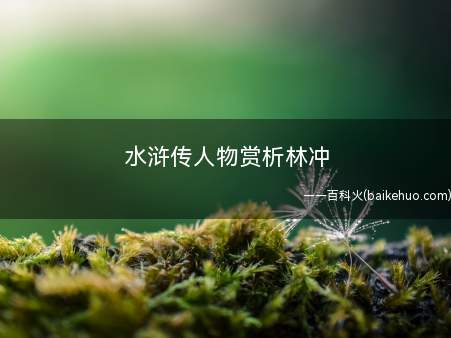 水浒传人物赏析林冲