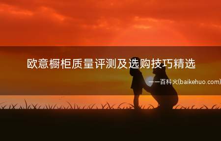 欧意橱柜质量评测及选购技巧精选