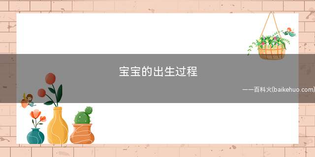 宝宝的出生过程