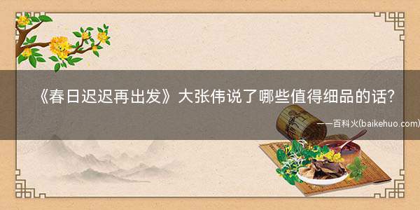 大张伟一波三折哪一期(大张伟春日迟迟再出发经典语录)
