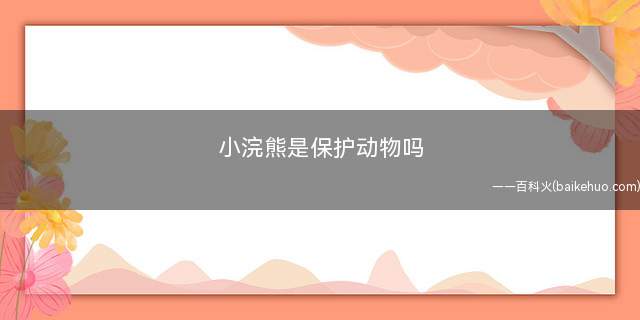 小浣熊是保护动物吗(小浣熊属于国家保护动物)