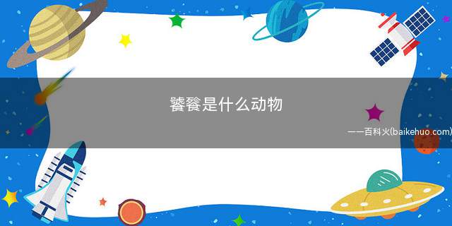 饕餮是什么动物(饕餮是什么动物的化身)