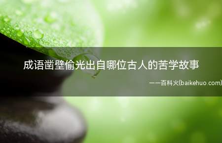 成语凿壁偷光出自哪位古人的苦学故事(小蚂蚁庄园小课堂11月12日题型来了,成语凿壁偷光出自哪位古)