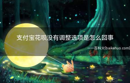 支付宝花呗没有调整选项是怎么回事（支付宝花呗没有调整选择项是什么原因可能是找的方式）