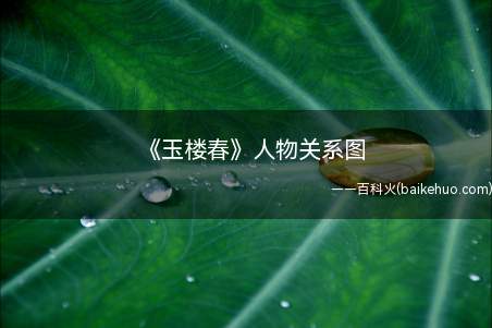 《玉楼春》人物关系图(《玉楼春》孙玉楼和林少春结局是啥)