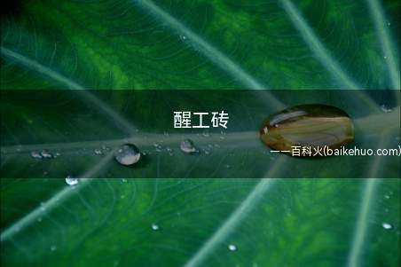 醒工砖是什么意思(醒醒,工头叫你起来搬砖了)