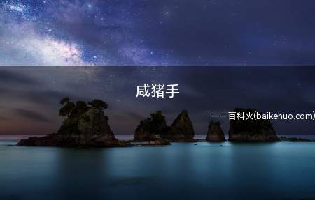 咸猪手是什么梗(陆游词中)