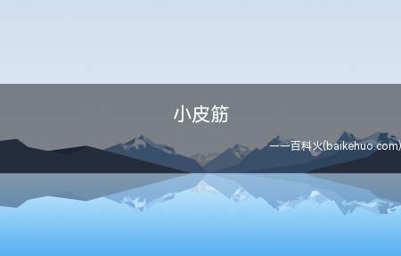 小皮筋是什么意思(特指男生手腕上套着的扎头发的皮筋)