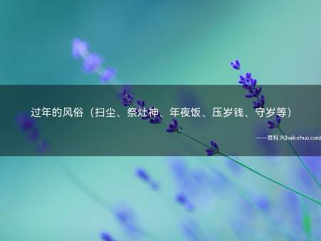 过年的风俗(扫尘、祭灶神、年夜饭、压岁钱、守岁等)
